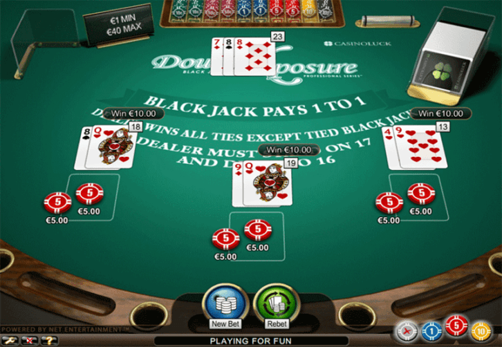 Blackjack Professional instaling